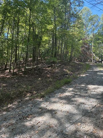 00 Miramar Drive, Ellijay, GA 30540