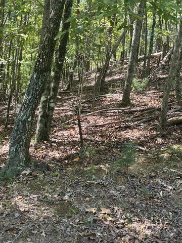 00 Miramar Drive, Ellijay, GA 30540
