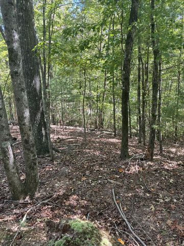00 Miramar Drive, Ellijay, GA 30540