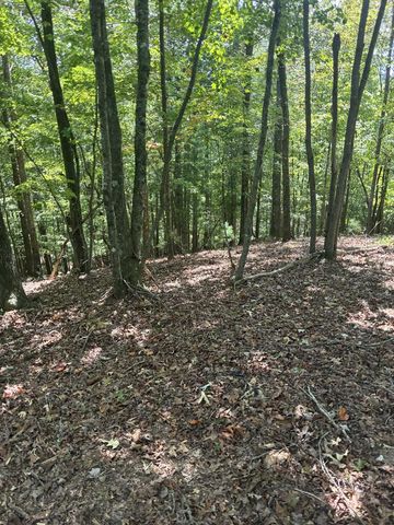 00 Miramar Drive, Ellijay, GA 30540