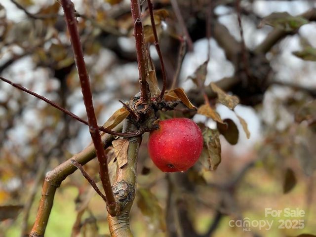 37 Bittersweet Drive, Hendersonville, NC 28792