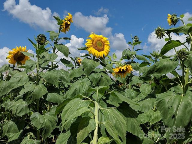 37 Bittersweet Drive, Hendersonville, NC 28792