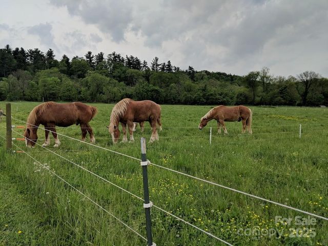 37 Bittersweet Drive, Hendersonville, NC 28792