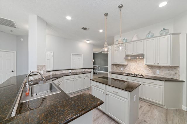 24203 Moon Ridge Court, Katy, TX 77494