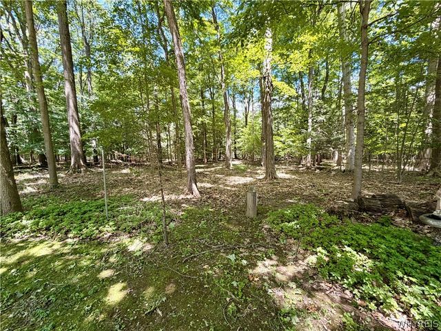 2776 Madonna Drive, Eden, NY 14057