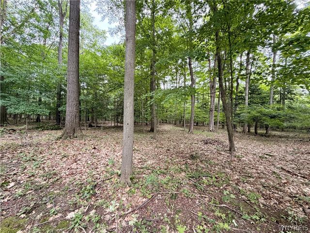 2776 Madonna Drive, Eden, NY 14057
