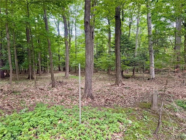 2776 Madonna Drive, Eden, NY 14057