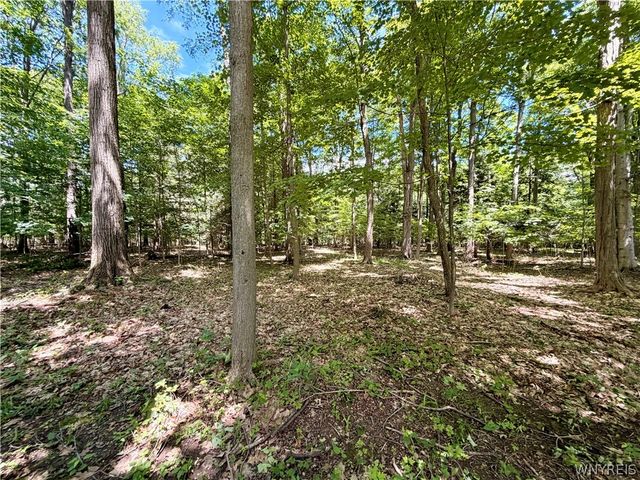 2776 Madonna Drive, Eden, NY 14057