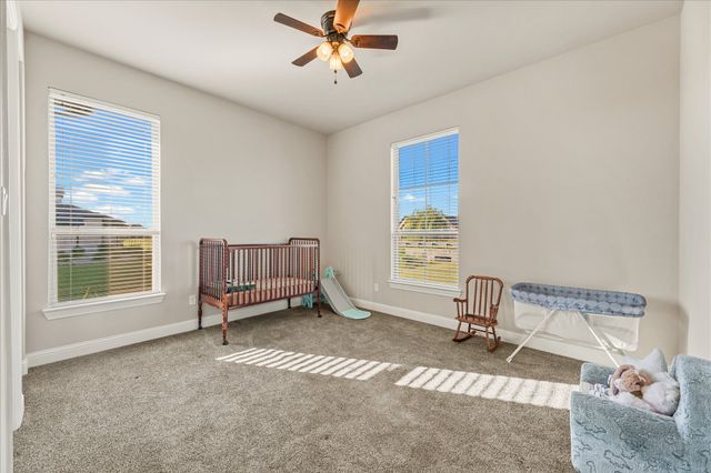 14066 Windrow Drive, Talty, TX 75126