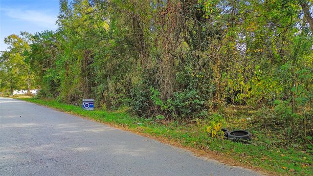 21048 Brazos Drive, New Caney, TX 77357