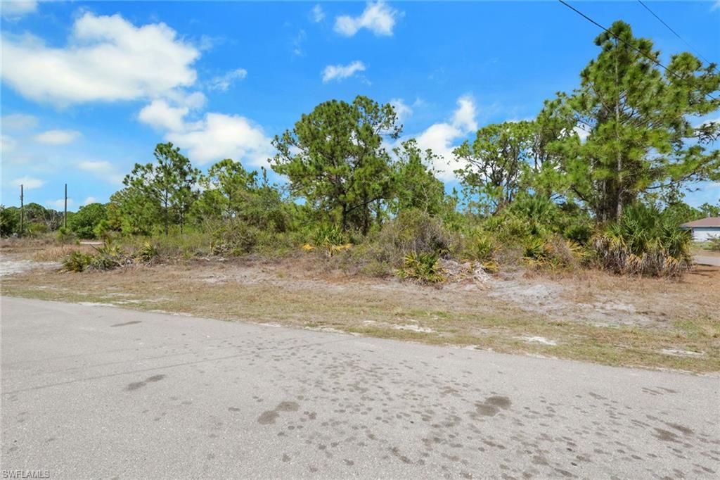 4601 Laura AVE N, LEHIGH ACRES, FL 33971 — photo 2