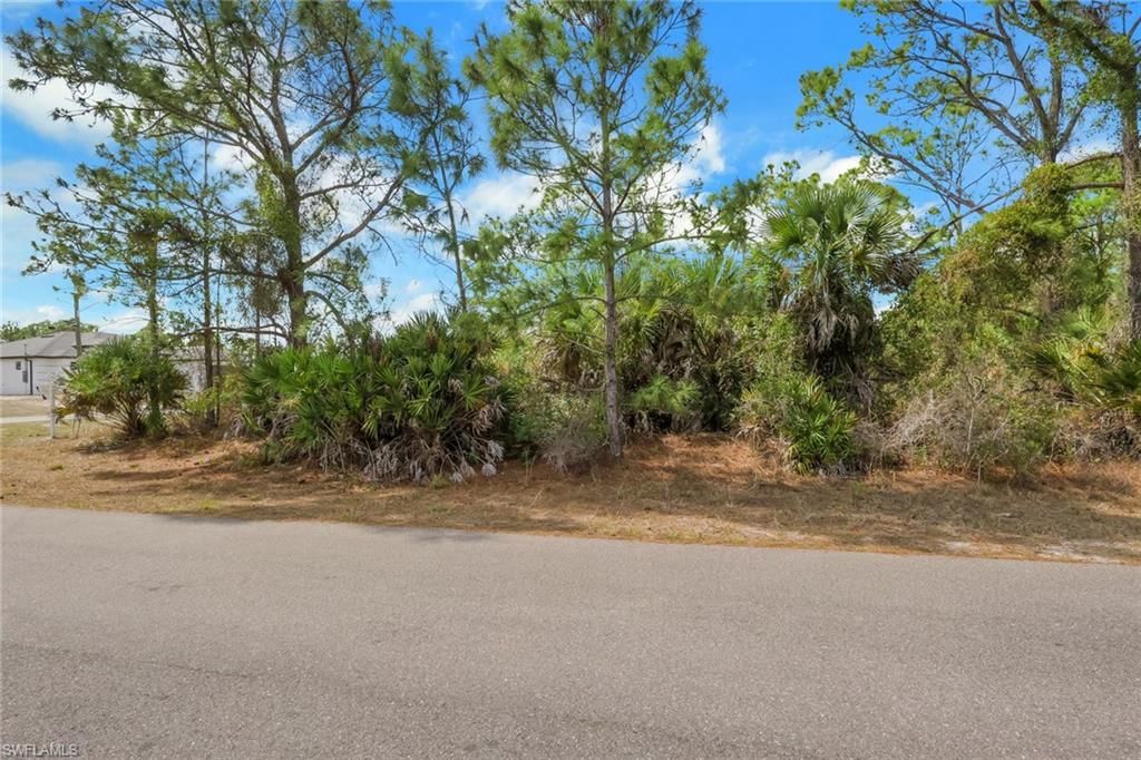 4601 Laura AVE N, LEHIGH ACRES, FL 33971 — photo 3
