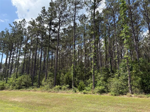 15693 Wooded Trail Way, Willis, TX 77378