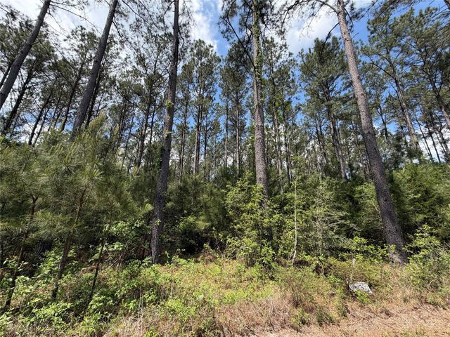 15693 Wooded Trail Way, Willis, TX 77378