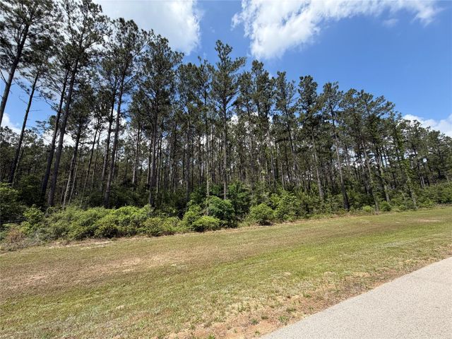 15693 Wooded Trail Way, Willis, TX 77378
