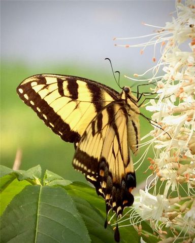 1348 Engel Road, Lawrence, KS 66044