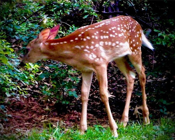 1348 Engel Road, Lawrence, KS 66044