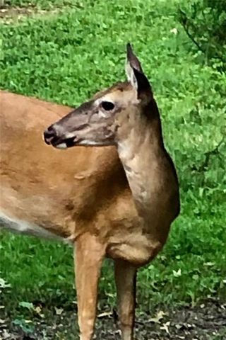 1348 Engel Road, Lawrence, KS 66044