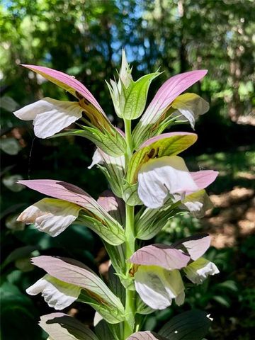 1348 Engel Road, Lawrence, KS 66044