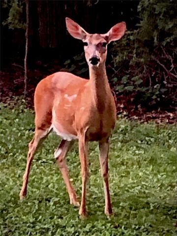 1348 Engel Road, Lawrence, KS 66044