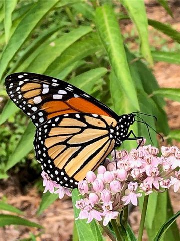 1348 Engel Road, Lawrence, KS 66044