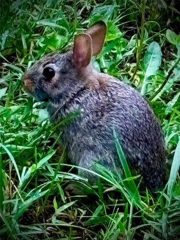 1348 Engel Road, Lawrence, KS 66044