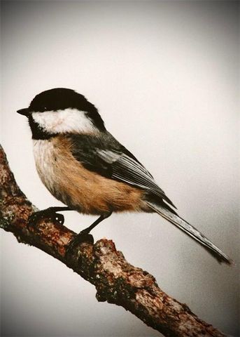 1348 Engel Road, Lawrence, KS 66044