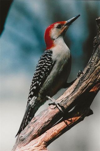 1348 Engel Road, Lawrence, KS 66044