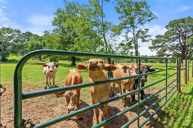 19678 C R 4125, Lindale, TX 75771