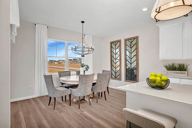 280 Snowdrop Lane, Elgin, IL 60124