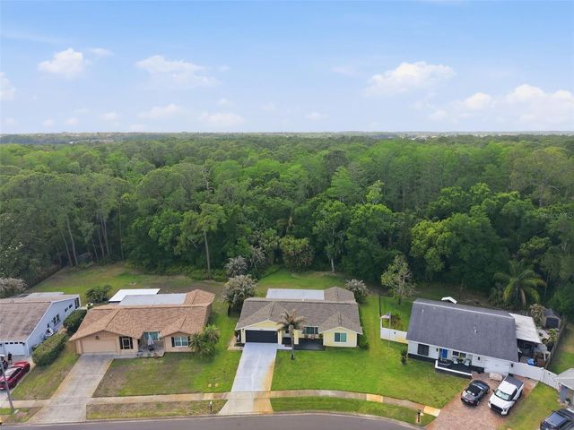 1010 MAINSAIL WAY, Palm Harbor, FL 34685