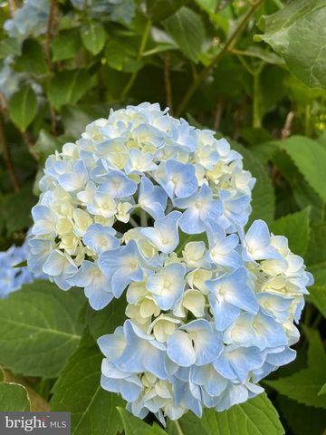 104 BLAISDELL LN, Fredericksburg, VA 22405