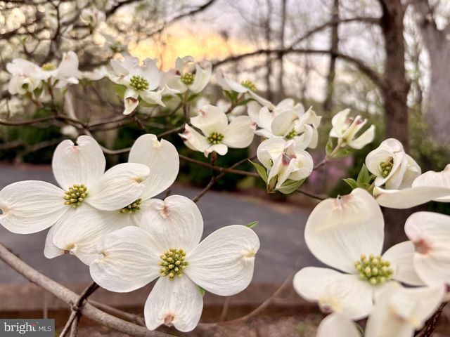 104 BLAISDELL LN, Fredericksburg, VA 22405