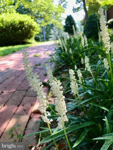 104 BLAISDELL LN, Fredericksburg, VA 22405