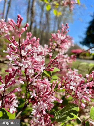 104 BLAISDELL LN, Fredericksburg, VA 22405