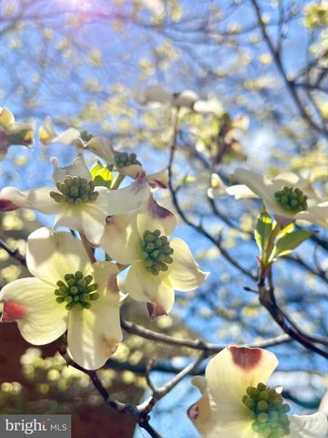 104 BLAISDELL LN, Fredericksburg, VA 22405