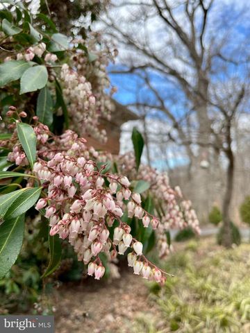 104 BLAISDELL LN, Fredericksburg, VA 22405