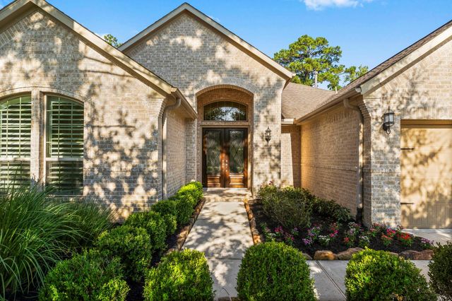 8 S Elderberry Trail, Montgomery, TX 77316