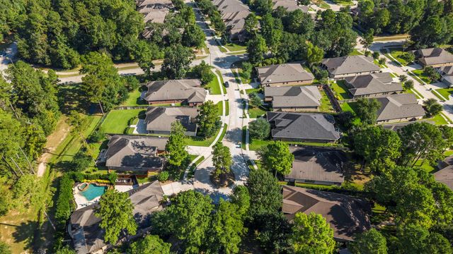 8 S Elderberry Trail, Montgomery, TX 77316