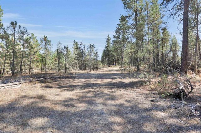 16619 S Sherman Rd, Cheney, WA 99004