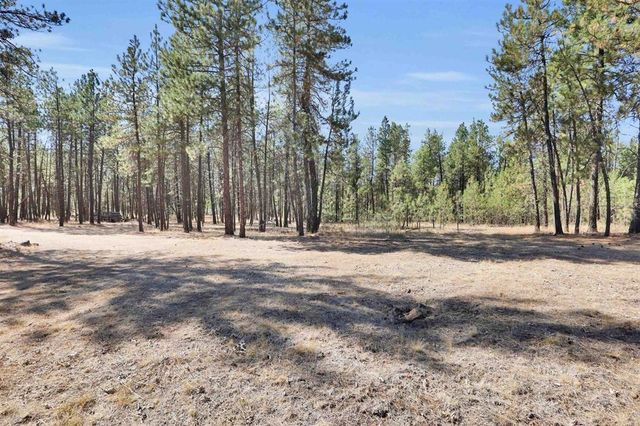 16619 S Sherman Rd, Cheney, WA 99004