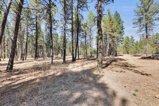 16619 S Sherman Rd, Cheney, WA 99004