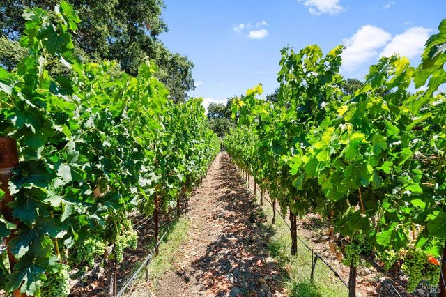 3140 Big Ranch Rd, Napa, CA 94558