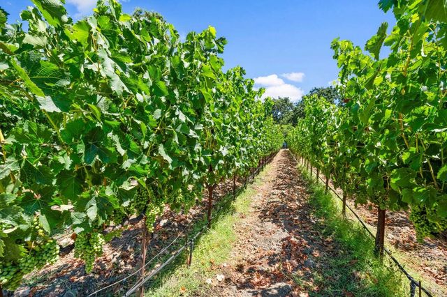 3140 Big Ranch Rd, Napa, CA 94558