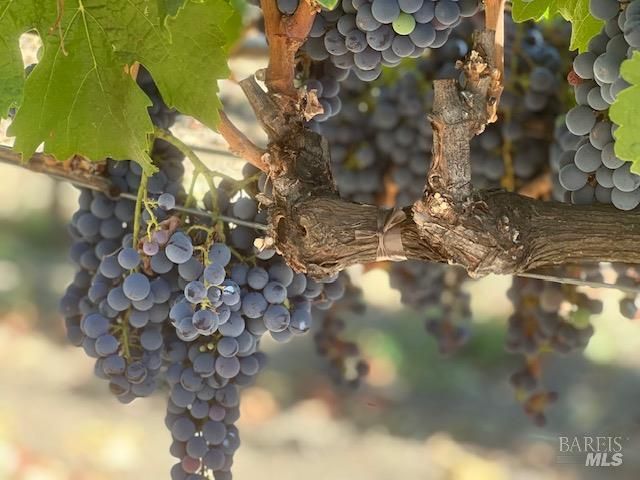 3140 Big Ranch Rd, Napa, CA 94558