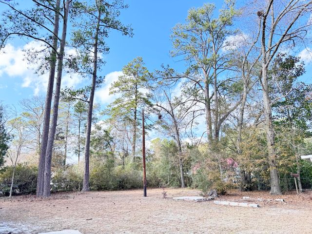 227 Bailey Street, Walterboro, SC 29488