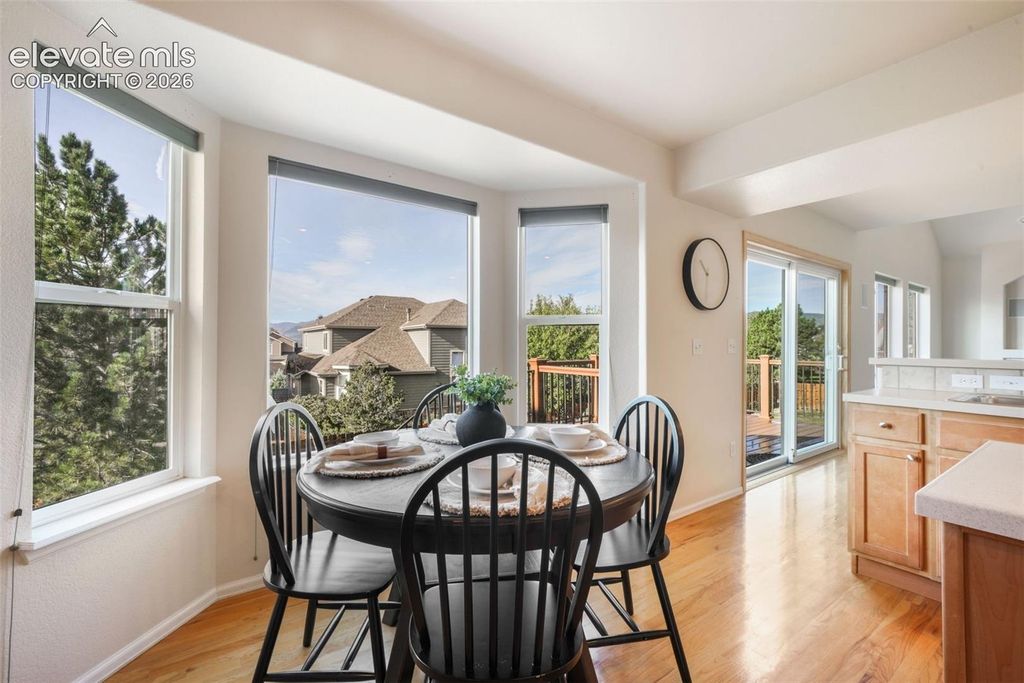 324 Fox Run Circle, Colorado Springs, CO 80921 — photo 5