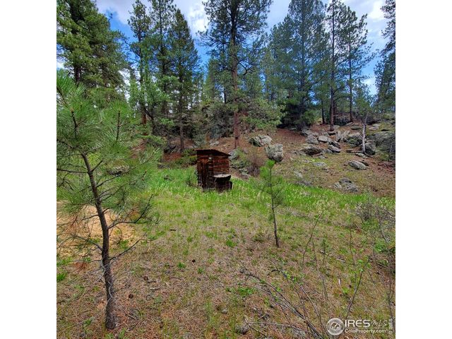 331 Fox Creek Rd, Glen Haven, CO 80532