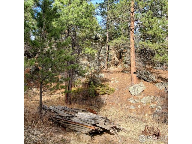 331 Fox Creek Rd, Glen Haven, CO 80532