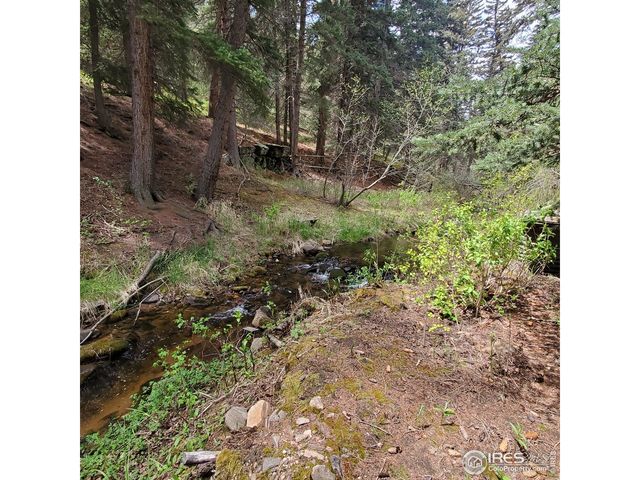 331 Fox Creek Rd, Glen Haven, CO 80532